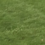 S&M lawn-care