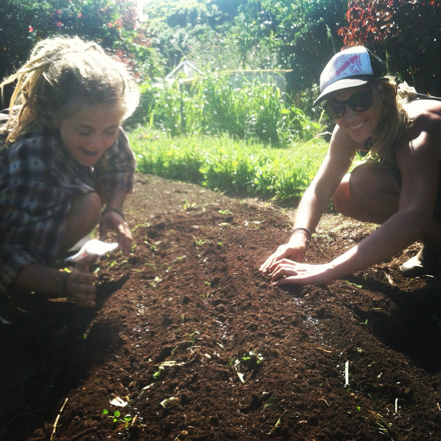 Bloomy and Blondie's Edible Landscaping
