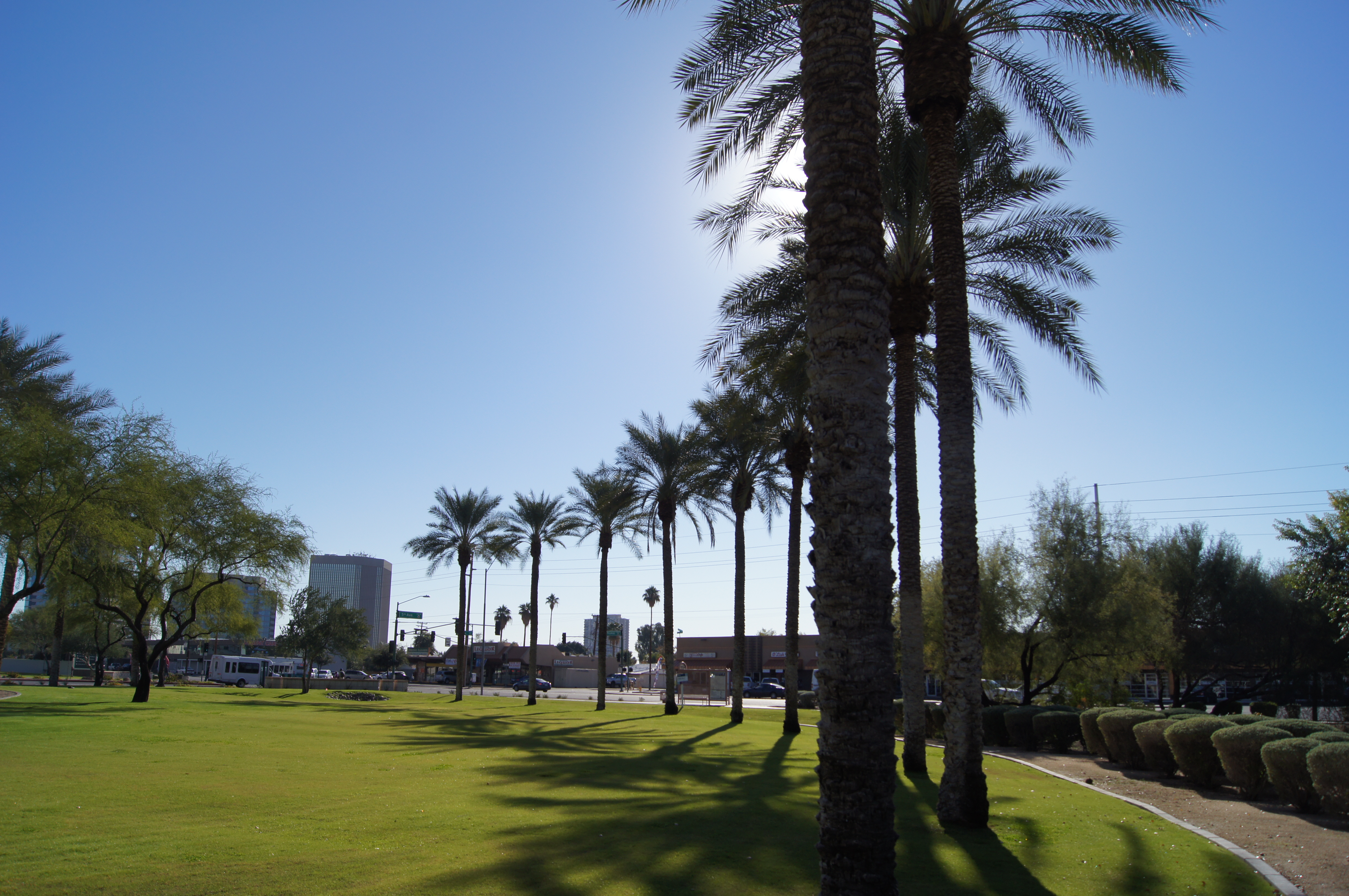 Az Landscaping Tree services (LTC) Llc.