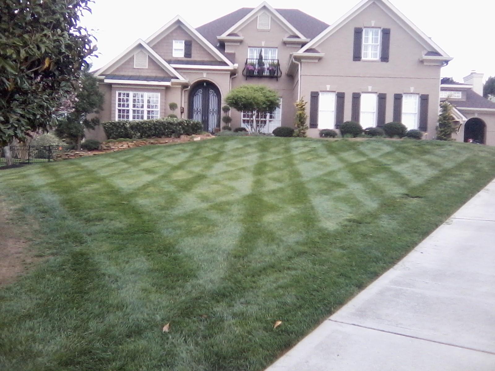 Professional Lawn And Landscape Services Low Rates