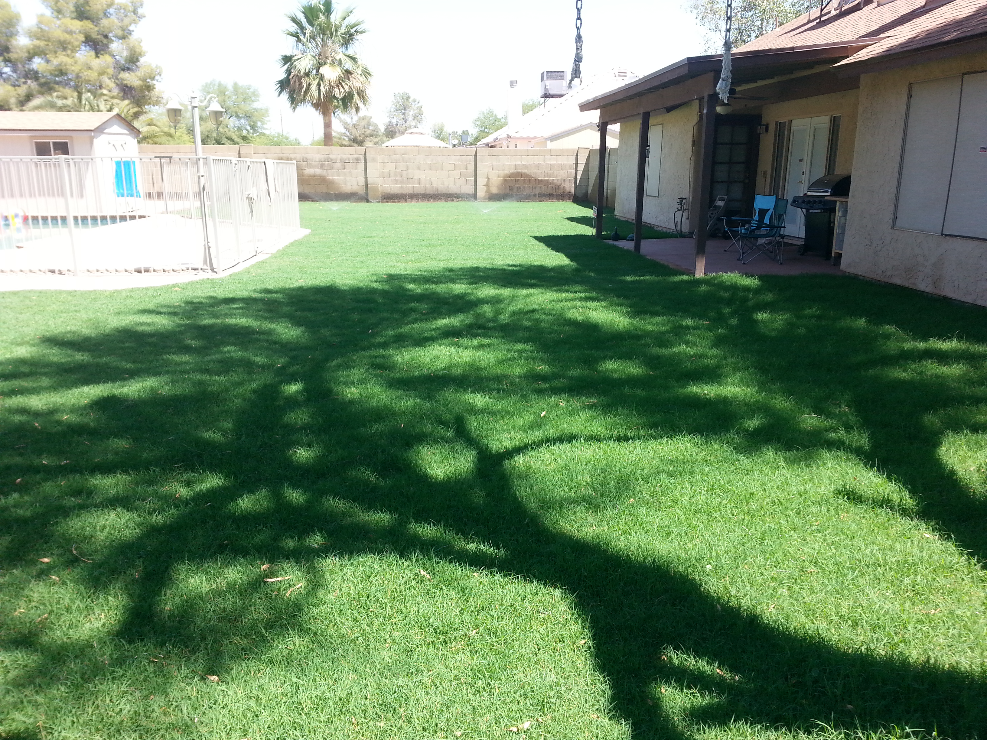 Lawn Care And Maintenance