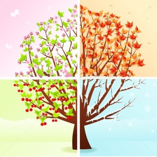 All Seasons Landscaping and Services