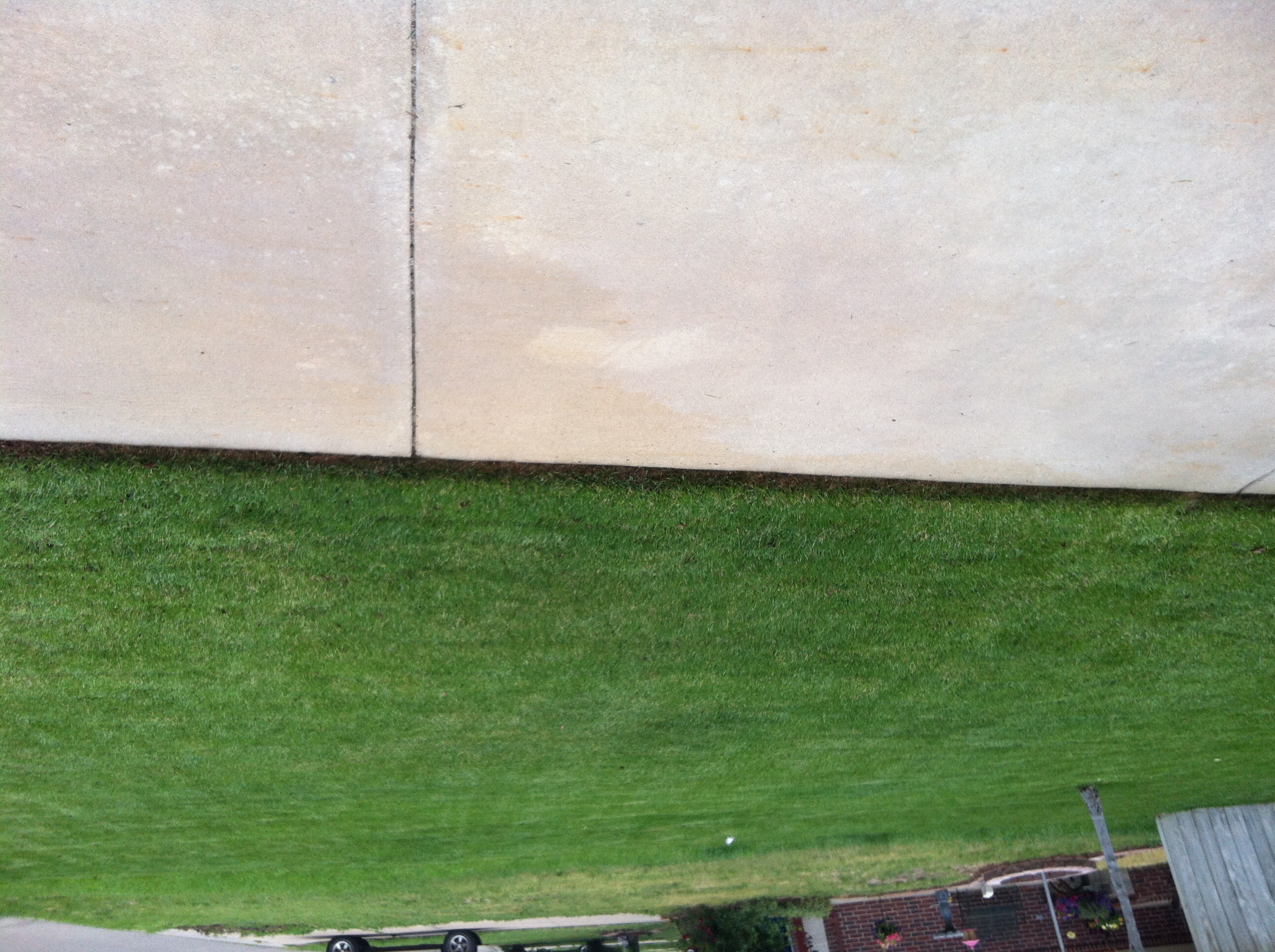 Martin Lawn Service