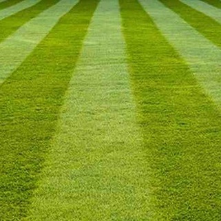 Lawn Mowing-20%OFF Early Bird Special!