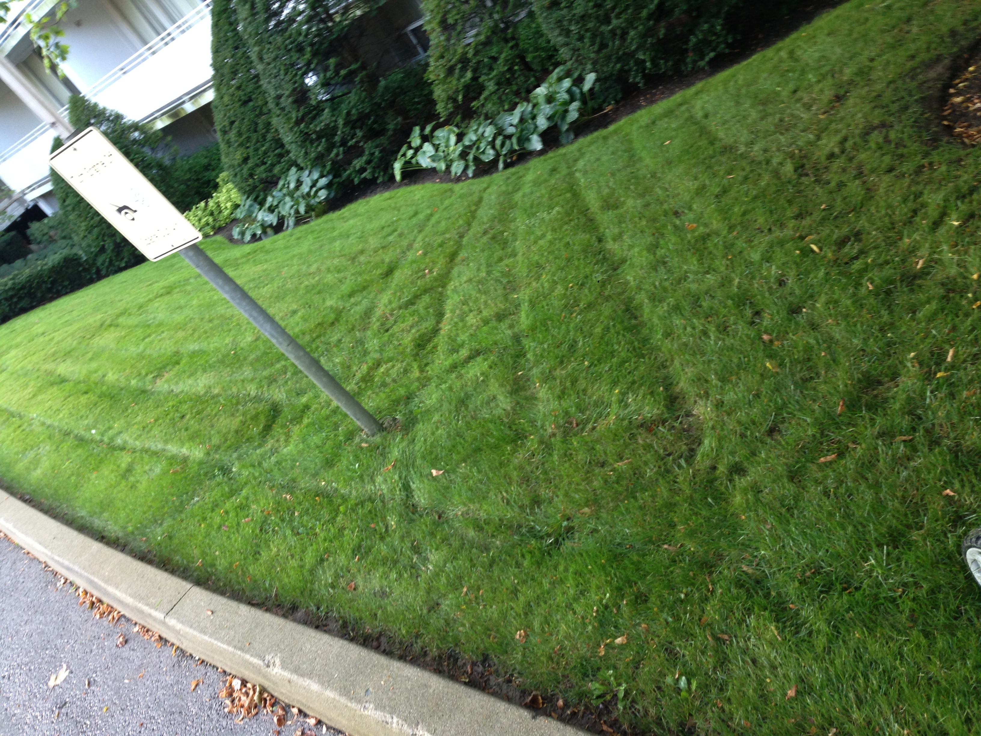 Mariani Landscaping