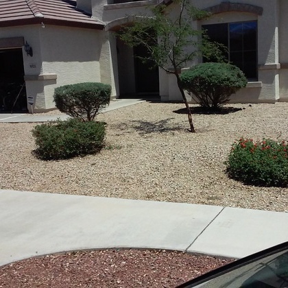 Perez Scapes Lowest Prices Around.