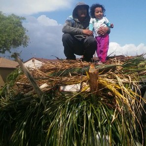 Cruz gardening & landscape service