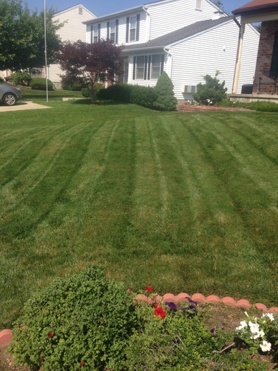 Lawn Cutting