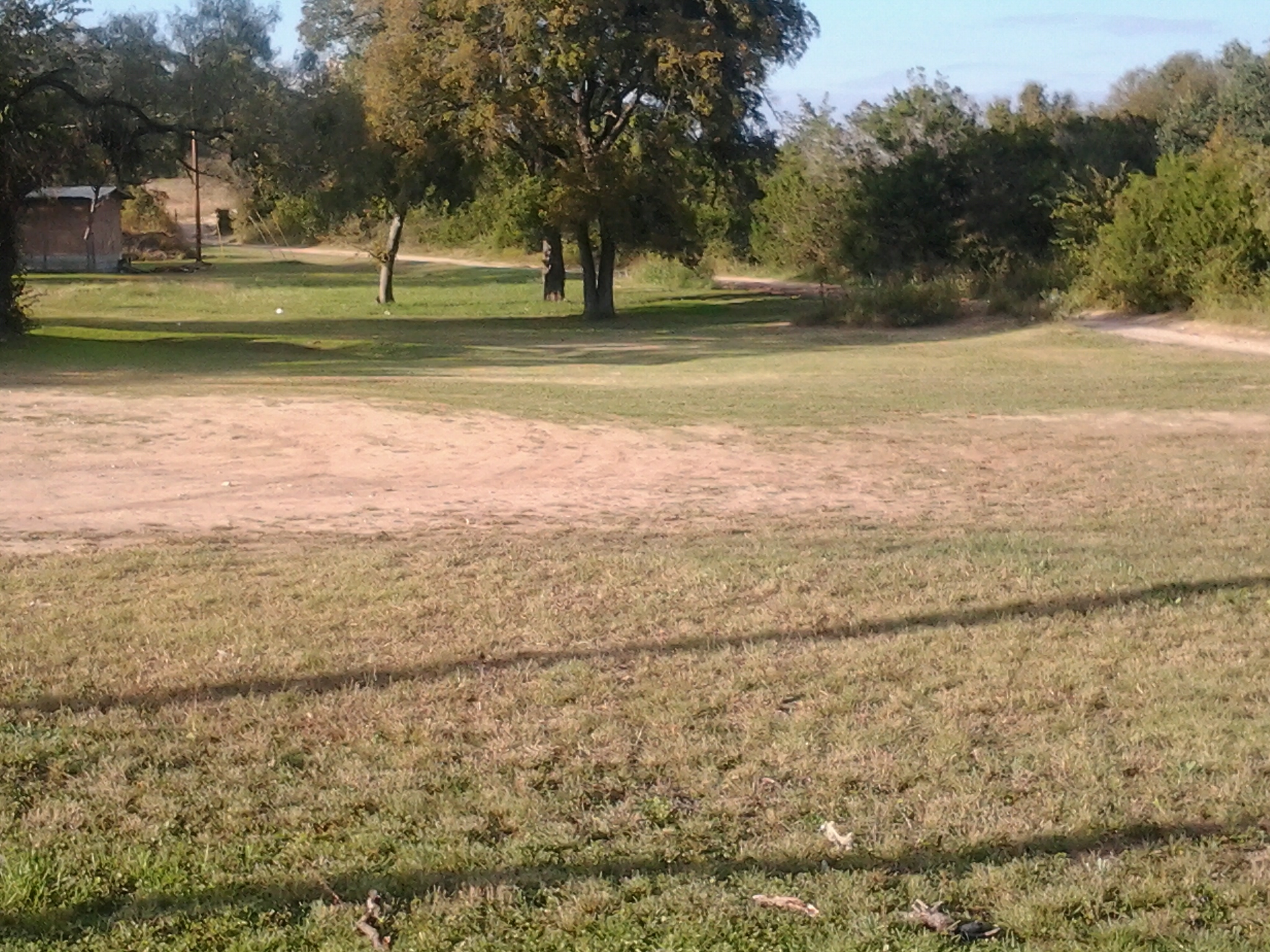 Floyd's Lawn & Garden Services