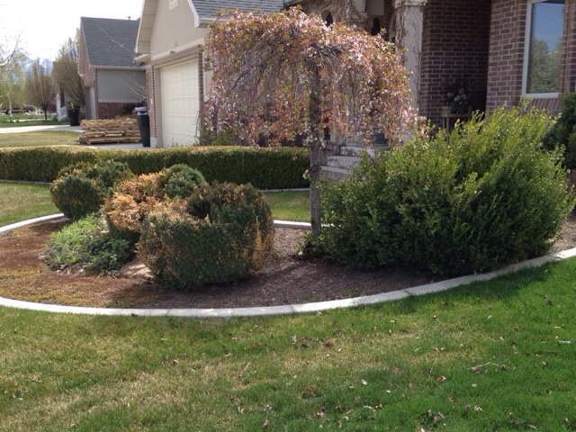 Aces High Landscaping