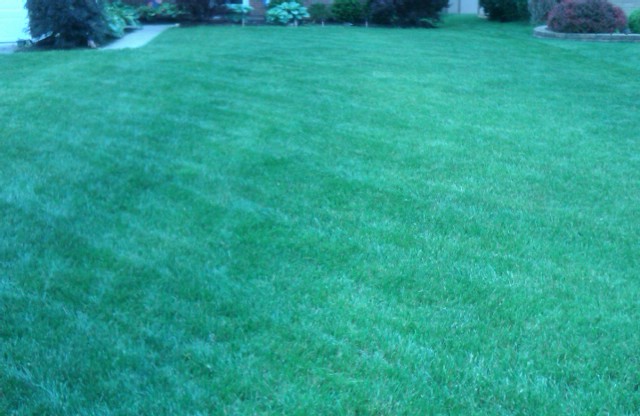 Lawn Mowing Service Offered