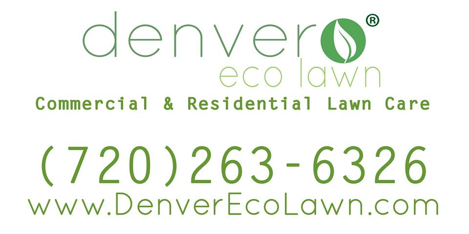 DenverEcoLawn