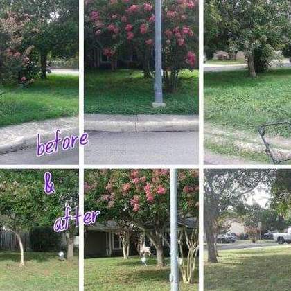 Great lawn service for a great price.