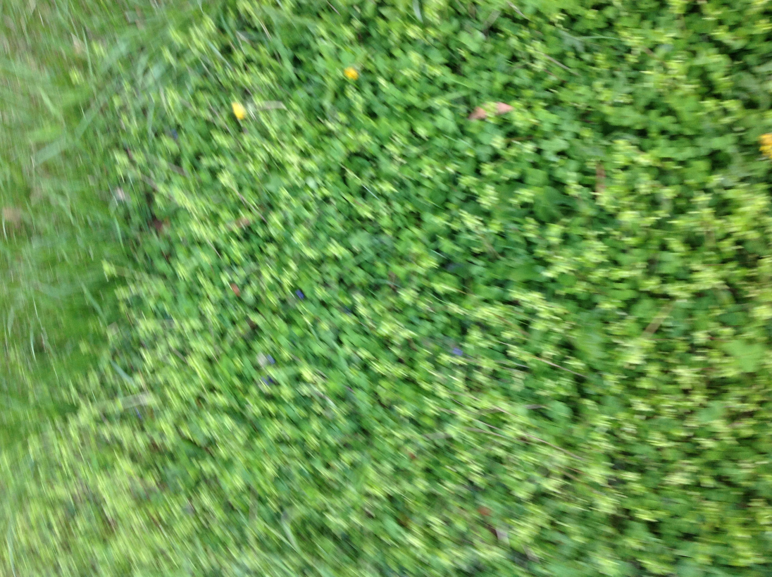 R and J Lawn Service $20.00 cuts New Castle County