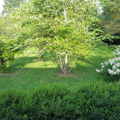 Keisons Lawncare