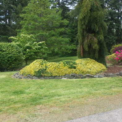 Rain or shine for all your landscaping needs