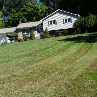 Northeastkutz Lawn Services LLC