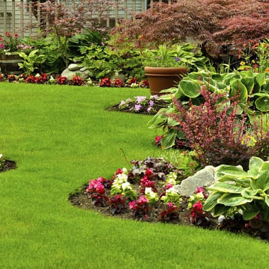 Have a lawn that needs landscaping or general maintenance? We can help!