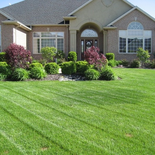 Residential Landscape Consultations