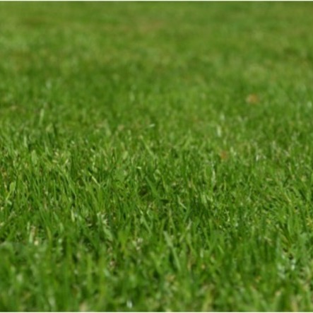 Cottage Grove Lawn Care