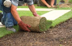 Complete Landscaping and grounds maintenance