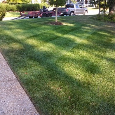 Afforable Lawn Care