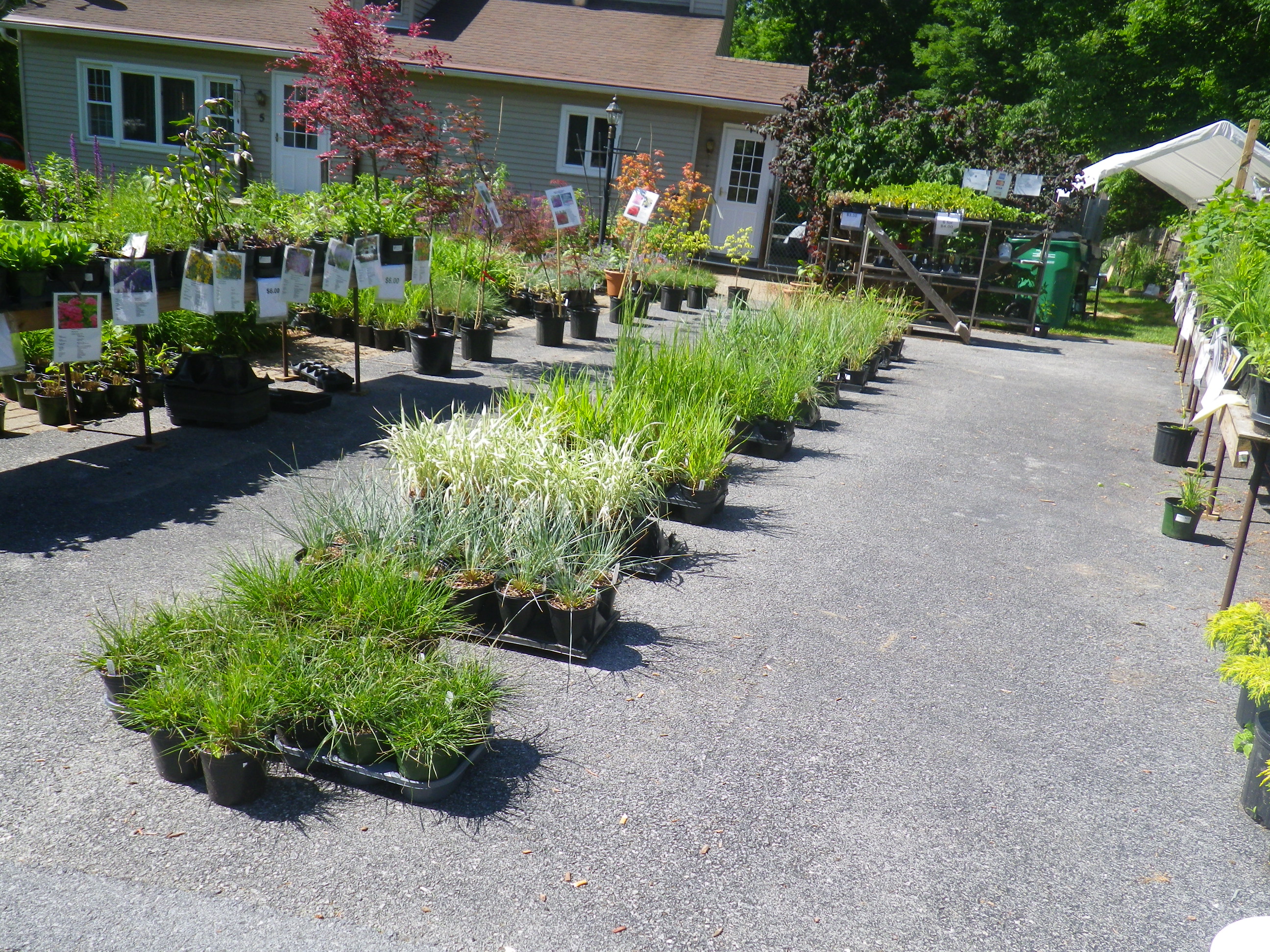 Need plants?