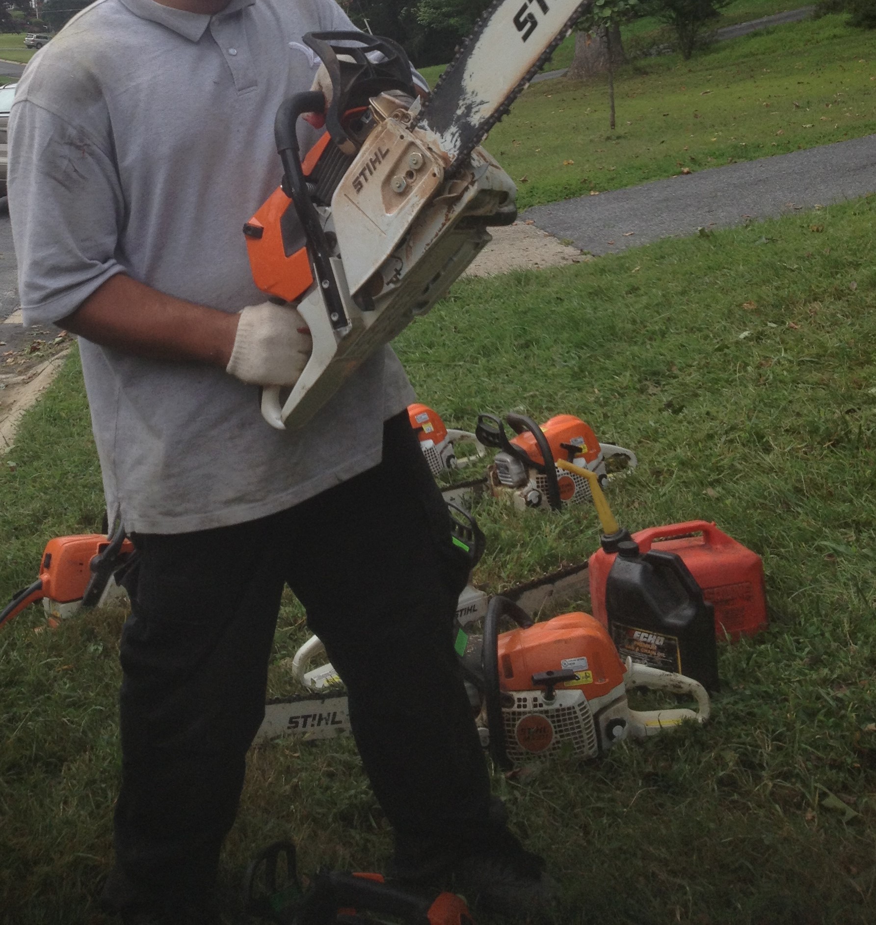 United Tree Services and Landscaping