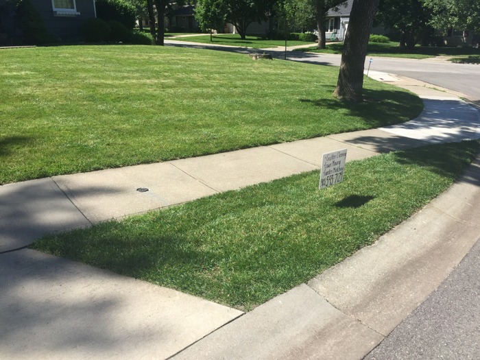 Phil and Joe's Lawn Care Co.