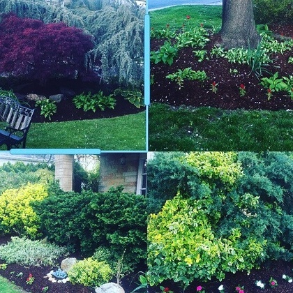 Excellent landscaper, best prices around, free estimates,satisfaction guaranteed!