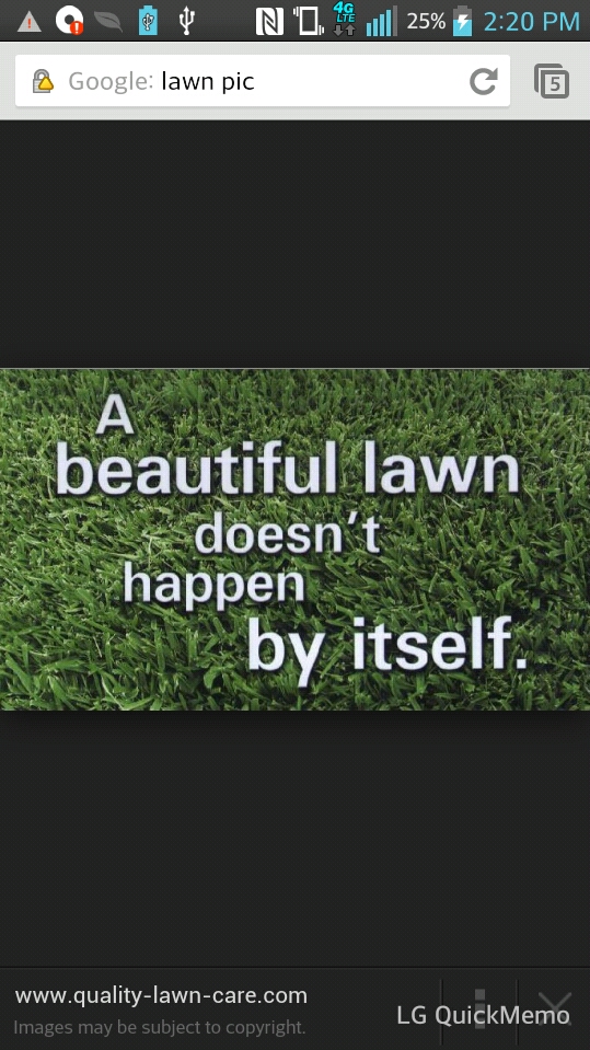 Lawn Mowing