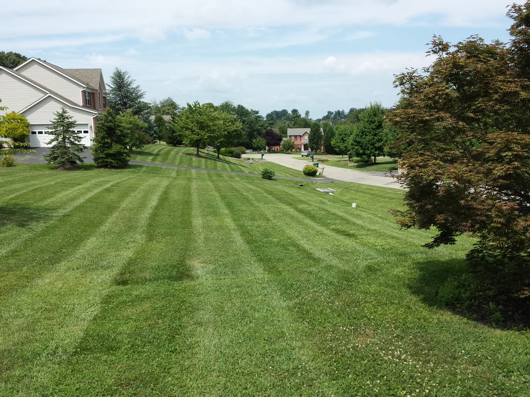 Loveless Landscaping