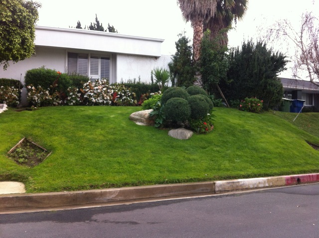 Gardening Service