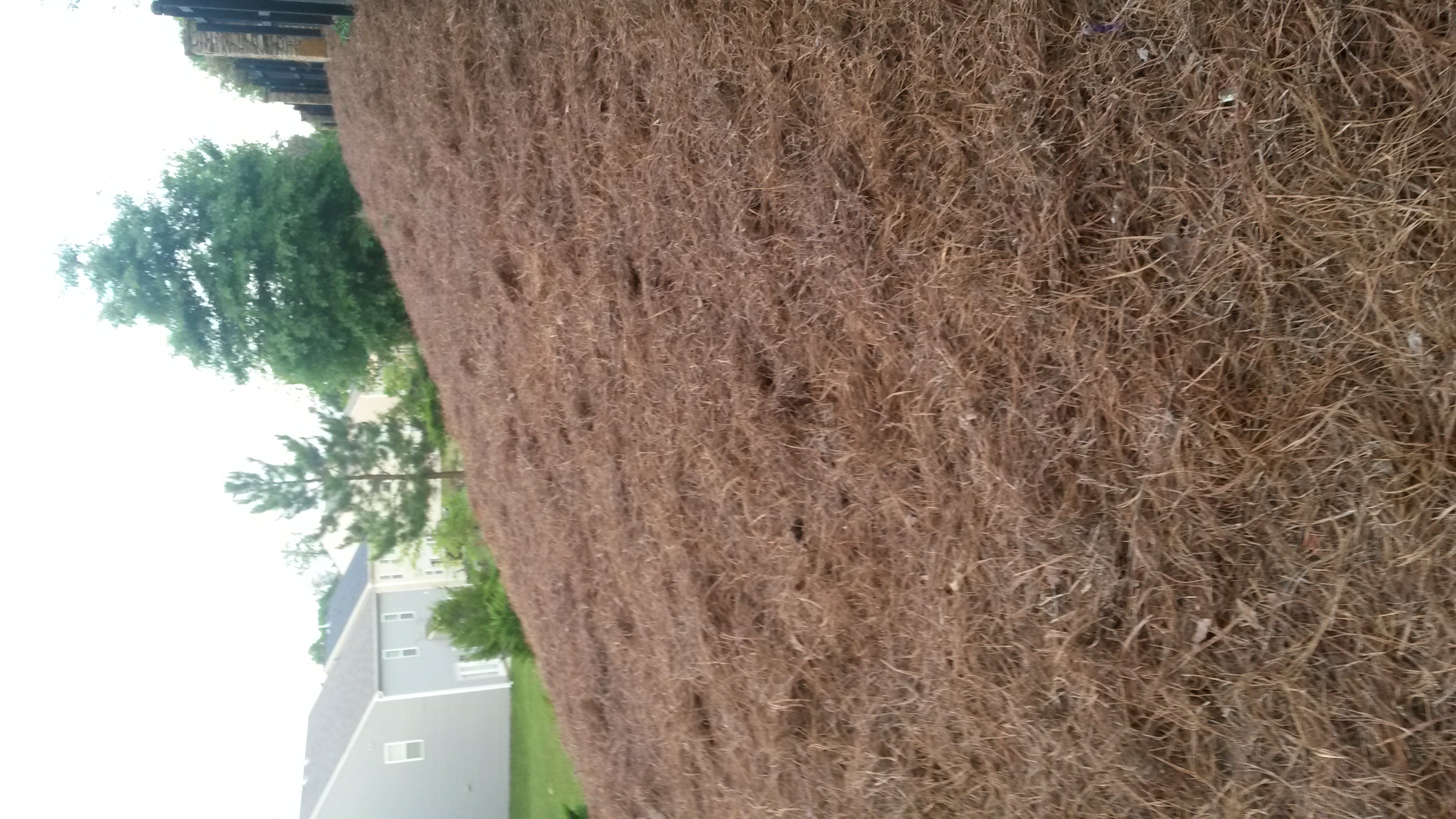 A little bit of everything landscaping