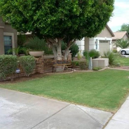 ALL LANDSCAPING yard clean up