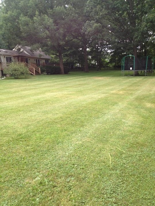 Cut Short Landscaping