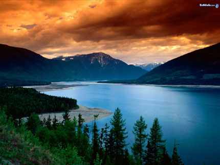 Luxurious Landscapes