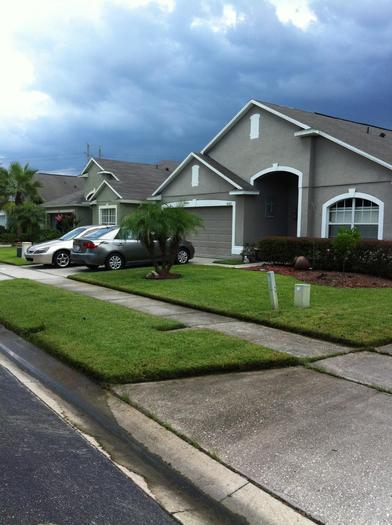 Affordable Lawn Care
