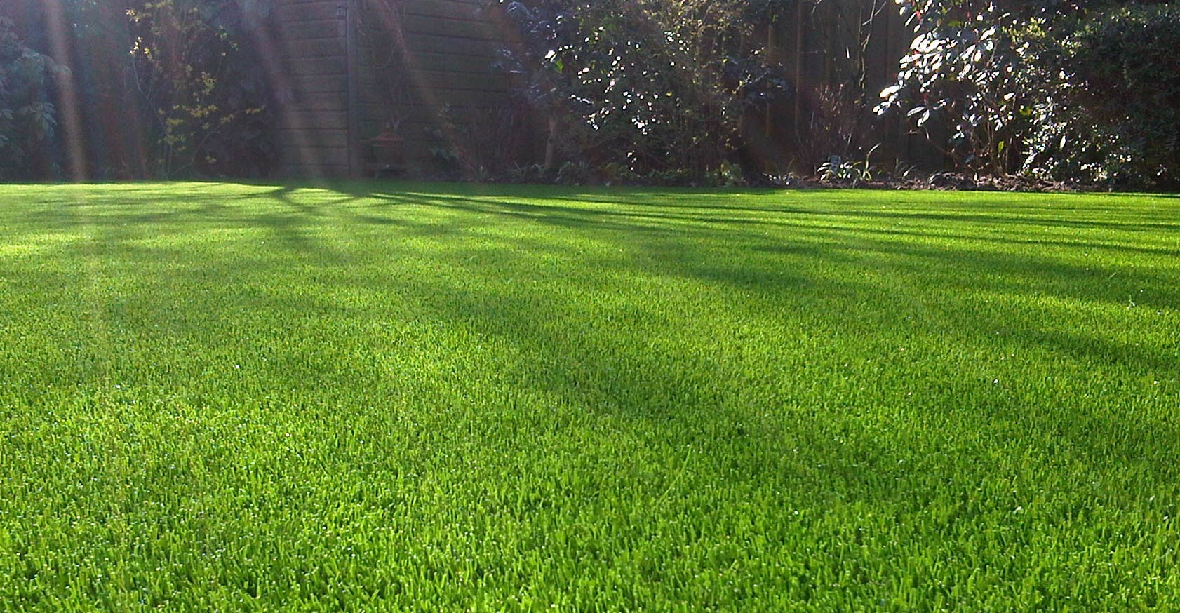 Radames Landscaping