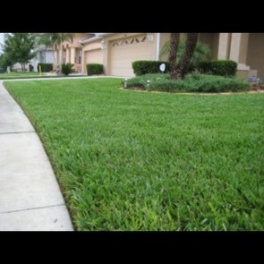 Sag Lawn Service