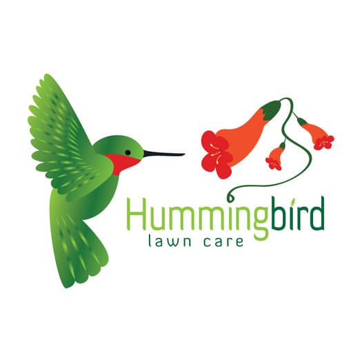 Aeration & Dethatching- Hummingbird Lawn Care