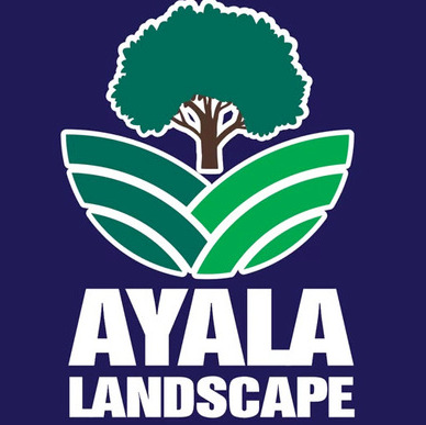 Ayala Landscape