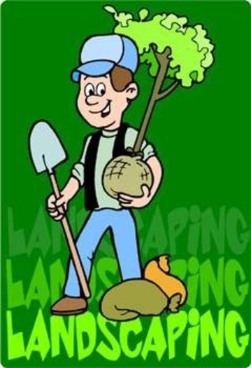 Affordable Landscaping