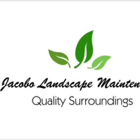 Experienced Landscaper Salem and Yamhill County Area.