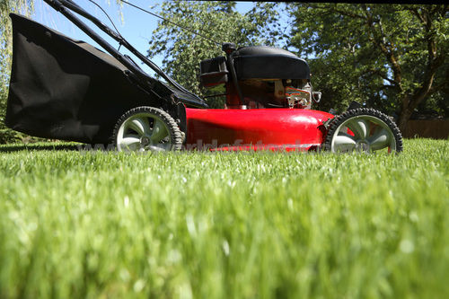 Quality Lawn Mowing