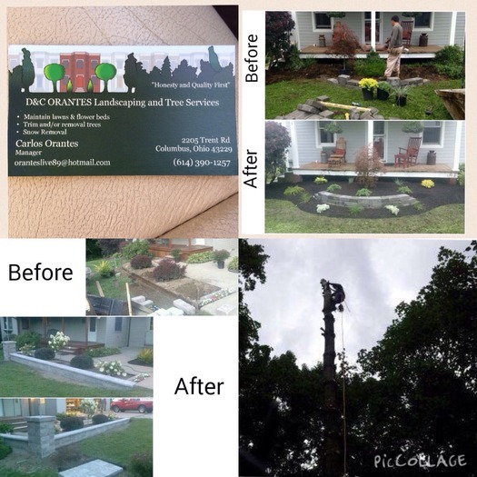D&C Orantes Landscaping and Tree Services