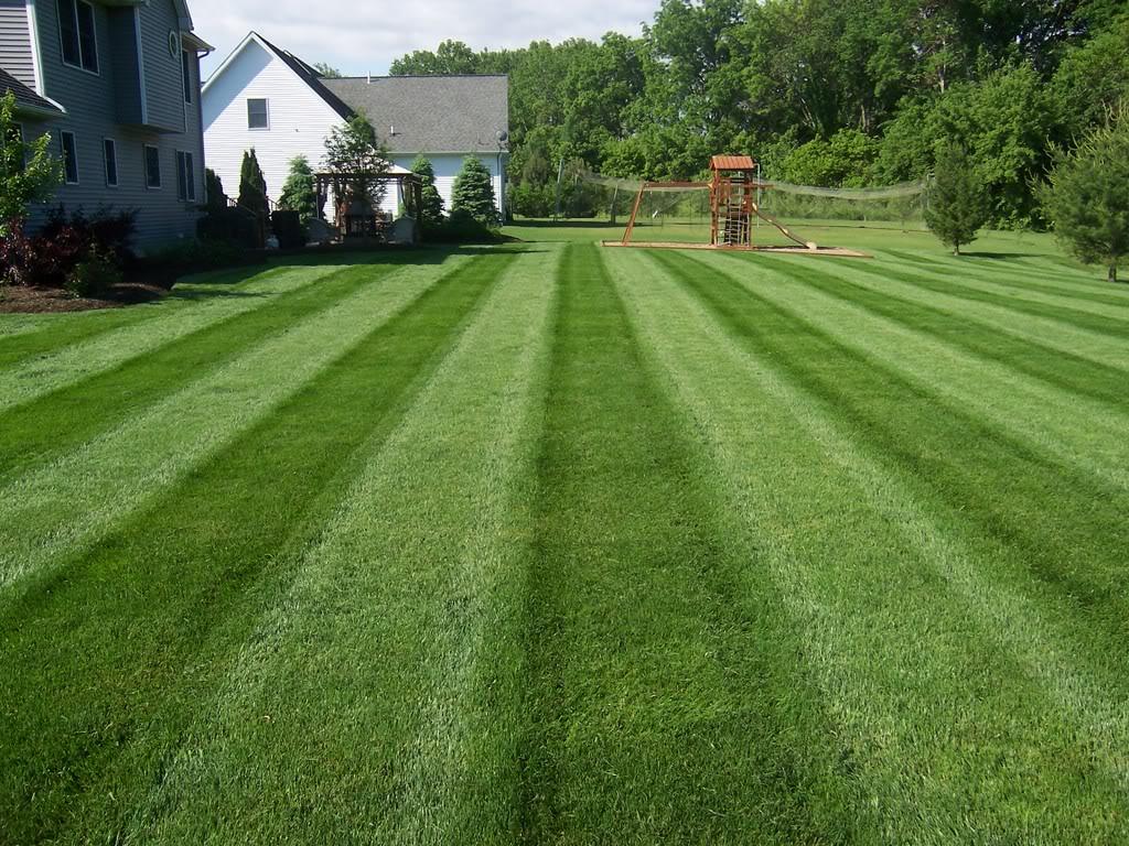 I provide lawn care at a fare rate.