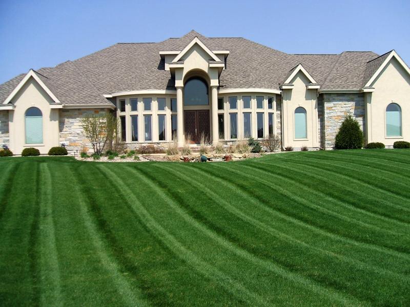 Professional Lawn Care