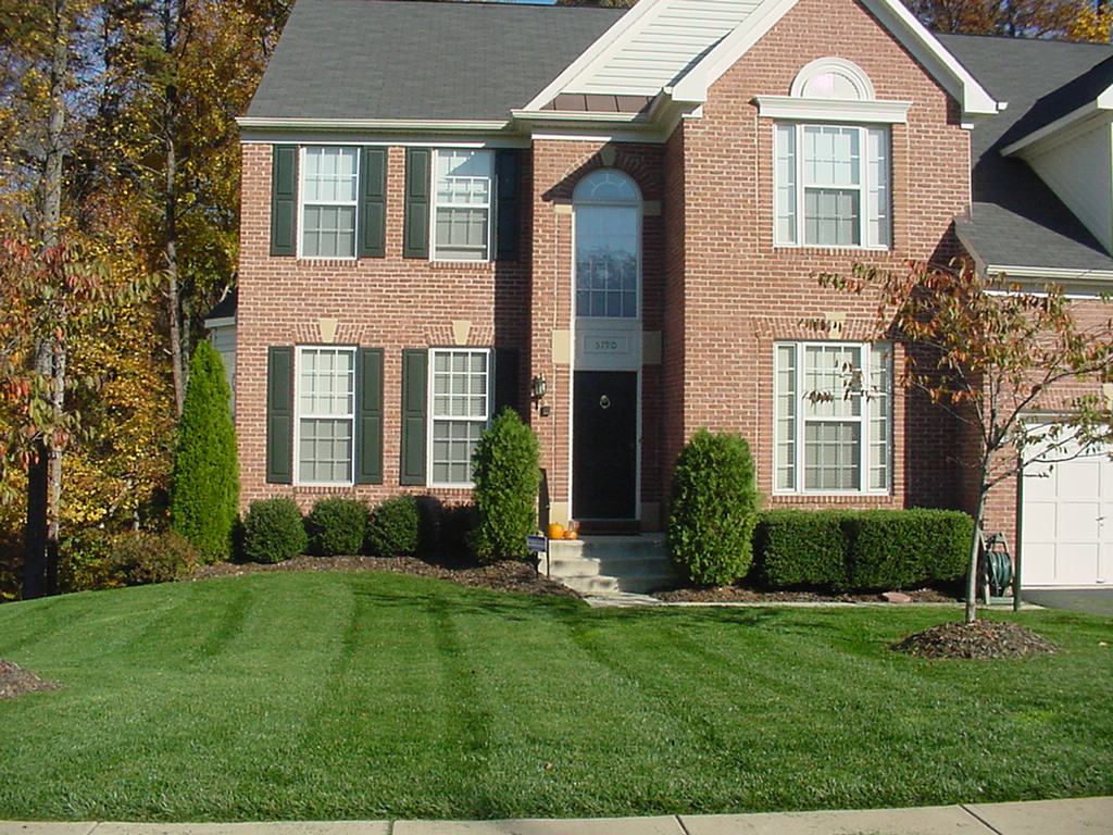 Cheap Grass Cutter