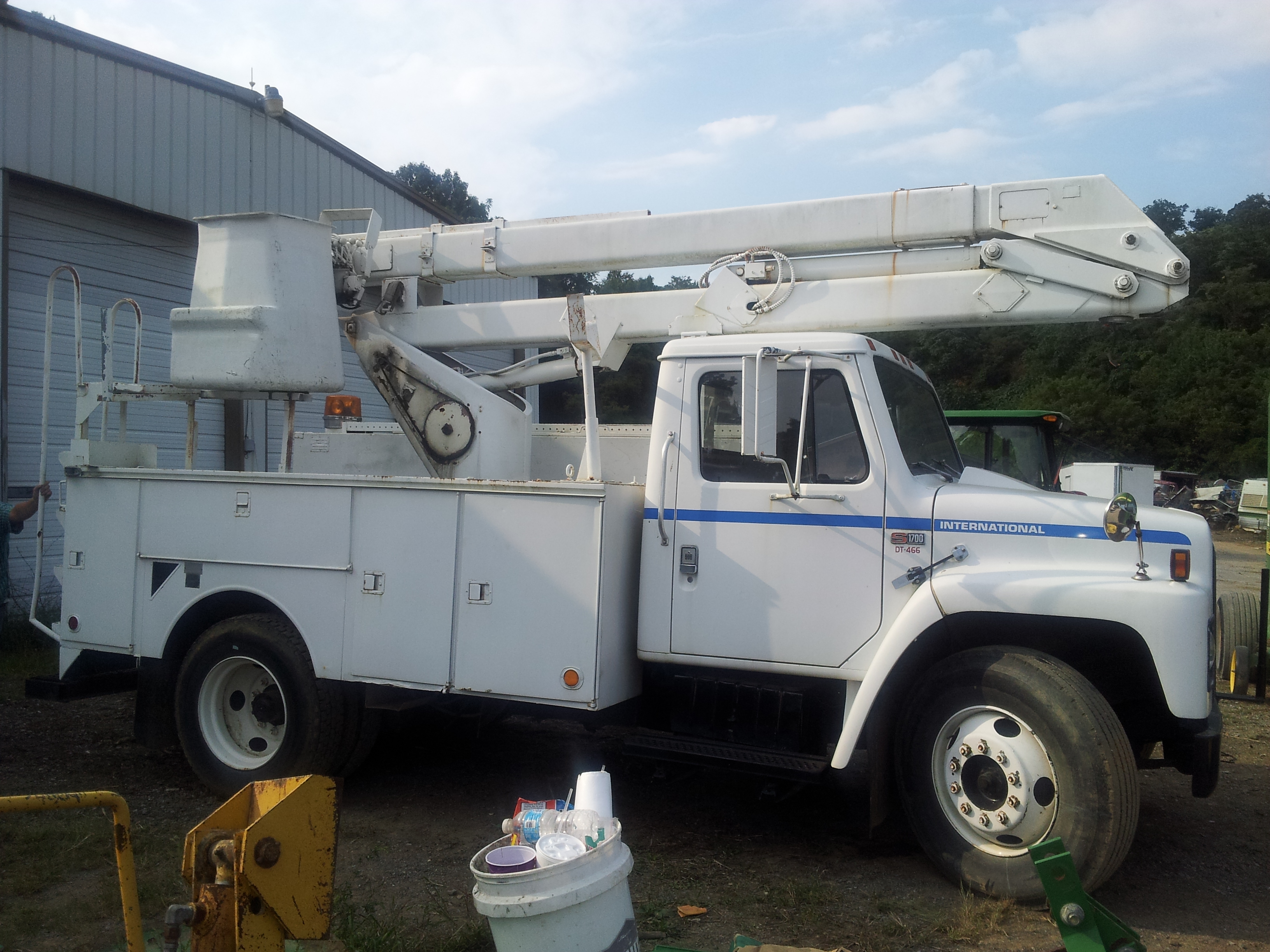 Tree / Lawn Services